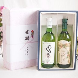 実りの秋の贈り物 感謝の贈り物ボックス おたる生葡萄100%ナイアガラワインと国産ワイン2本セット(国産葡萄100％使用 おいしい日本ワイン 白ワイン やや辛口(山梨県)720mlナイアガラ白ワイン やや甘口(北海道)720ml