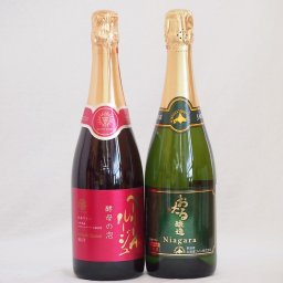 スパークリングワイン飲み比べ2本セット(ナイアガラスパークリング白ワインやや甘口 マスカットベーリーA種スパークリング赤ワイン辛口) 720ml×2本