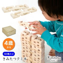 木のおもちゃ 知育玩具 ブロック 積木 パズル くみき きみたつクミキ  | 50個入り 4才から 遊び 木製 型はめ 積み木 つみき 出産祝い 幼児 ギフト オモチャ 誕生日 子供 こども 小学生 女の子 男の子 入学 入園 木工玩具 お祝い 贈り物 脳トレ kmt005-2
