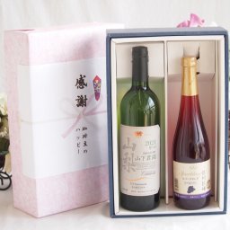実りの秋の贈り物 感謝の贈り物ボックス 国産甲州種辛口白ワインと国産ワインセット(青森弘前産りんご使用 シードルワインやや甘口(京都府)500mlシャンモリ 山梨限定醸造白750ml(笛吹市石和町山下農園産甲州)