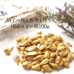 送料込☆ゆずの種 100g メール便 お試し 祝 ギフト ポイント消化 母の日