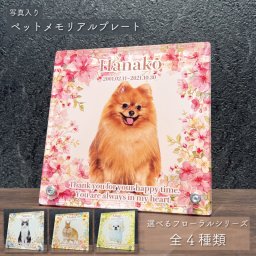 写真入り ペットメモリアルプレート スクエア ピンクフローラル｜選べるデザイン 全4種 名入れ 名前入り 日付入り メッセージ入り アクリル 8mm厚 犬 猫 愛犬 愛猫 うさぎ 鳥 インコ ハムスター ペット供養 遺影 位牌 手元供養 お悔やみギフト お供え ペットロス フォトプレート ペット写真立て メモリアルグッズ 花柄 可愛い オーダーメイド オリジナル 記念品 プレゼント ギフト 贈り物