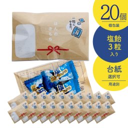 【20セット】【名入れ可】熱中症対策 塩スポーツキャンディ 3粒入 のし袋デザイン 選べる4種のメッセージ 粗品 参加賞 お世話になっています ほんのきもち 企業名 団体名 オリジナルノベルティ