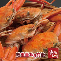 訳ありセコガニ（親ガニ）松葉ガニの雌(茹で)総重量1kg前後 (ずわい蟹 ずわいがに ズワイガニ かに カニ 蟹 ボイル 香箱ガニ こっぺがに せいこ 松葉がに 姿)ご予約　11月解禁後順次発送