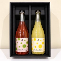 「南部美人」糖類無添加 梅酒・ゆずレモン酒 720ml 2本セット
