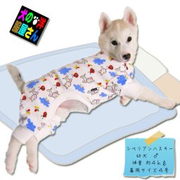 犬服 お馬さんとてんとう虫柄パジャマ  ( 小型犬 中型犬用 )  ロンパース つなぎ チワワ トイプードル ミニチュアダックスフント 柴犬