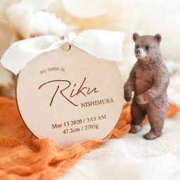 【送料無料 / イーゼルスタンド付】木製 ＜世界で一つだけのオリジナルアイテム＞Birth Plate プレート レター バナー 木製バナー ニューボーン フォト 100日 祝い 誕生日 飾り ウッド ベビー 寝相 アート お昼寝アート 月齢 バースデー 写真 記念 赤ちゃん 1ヶ月 グッズ 撮影小物 背景 小物 インスタ