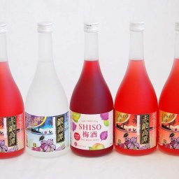 楽しむ鍛高譚5本セット(しそ焼酎鍛高譚20% SHISO梅酒12% 赤鍛高譚20%) 720ml×5本