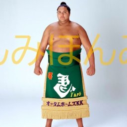 曙太郎関　優勝ミニ額 大相撲ミニ額 大相撲優勝額　平成４年５月場所 優勝 関脇 曙太郎関（初優勝） ※受注生産品のため、ご注文後はいかなる理由でも返品、返金はできません