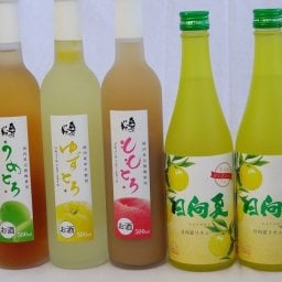 フルーツバラエティリキュールセット5本 (うめとろ ももとろ ゆずとろ 日向夏×2本) 500ml×5本