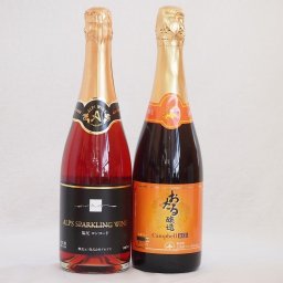 スパークリングワイン飲み比べ2本セット(キャンベルスパークリング赤ワインやや甘口 塩尻ナイアガラスパークリングロゼワインやや甘口) 720ml×2本