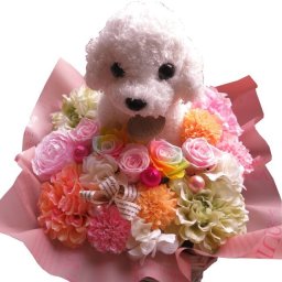 誕生日プレゼント 彼女 友人 母親 トイプードル ぬいぐるみ 花 レインボーローズ入り キャンディーカラー プリザーブドフラワー入りギフト ケース付き プードルカラーはおまかせです