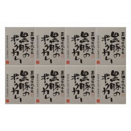 お中元 「三田屋総本家」 黒豚のポークカレー8食セット(ボール箱) 食品 ギフト プレゼント 贈答 熨斗 のし 贈り物 記念日 お祝い 冠婚葬祭 内祝 御祝 無地 出産内祝 結婚内祝 御見舞 快気祝 御仏前 志 お供(代引不可)【送料無料】