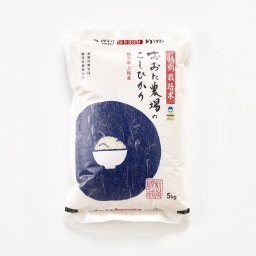 令和5年産 特別栽培米コシヒカリ 【白米】★従来品種★