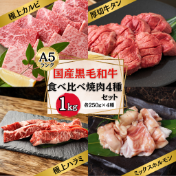 【A5】 国産黒毛和牛 食べ比べ 焼肉 4種セット 1kg  (カルビ・ハラミ・タン・ホルモン 各部位250g) A5 焼肉 BBQ バーベキュー 国産 黒毛和牛 牛肉 宴会