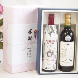 実りの秋の贈り物 感謝の贈り物ボックス イタリア黒葡萄品種赤ワインと国産ワインセット(山梨 マスカットベーリーA 赤ワイン 重口(山梨県)750mlフォレスタ ナティヴァ ネグロ・アマーロ赤ワイン (イタリア) 750ml
