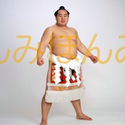 朝青龍明徳関　優勝ミニ額 大相撲ミニ額 大相撲優勝額　平成１９年１月場所 優勝 横綱 朝青龍明徳関（２０回目の優勝） ※受注生産品のため、ご注文後はいかなる理由でも返品、返金はできません