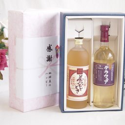 実りの秋の贈り物 感謝の贈り物ボックス プレミアムな麦焼酎と国産ワインセット(山梨県産葡萄使用 デラウエア白ワイン やや辛口(山梨県)720ml夢のひととき熟成麦焼酎25°(大分県)720ml
