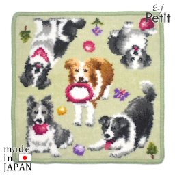 日本製 犬柄 ボーダーコリー シェニール織 タオルハンカチ EjPetit アーンジョー Enjeau ギフトラッピング対応可 ※ネコポス便発送