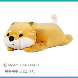フレンズヒル もちふわクッション L モチモチしばたさん 犬 いぬ 柴犬 おもちゃ ぬいぐるみ クリスマス