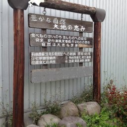2023秋収穫 メークイン 正品 3サイズ 混玉 10Kg 段ボール箱 北海道 江別産 じゃがいも 無農薬栽培　備蓄　まとめ買い 最高級 おいしい 【名入れ無し】【熨斗なし】【包装無し】20kgまで1個口で発送可（500円増、沖縄1000円増）　