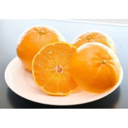にじゅうまる 〈佐賀〉 3kg オレンジ