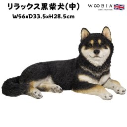 柴犬 置物 大きい リラックス黒柴犬 中 犬グッズ 横幅56cm woobia ウービア かわいい おしゃれ ガーデン インテリア オブジェ 巨大 プレゼント 北欧 玄関 雑貨 動物 モダン 面白い 庭 ギフト 屋外 家 リアル 玄関先 ガーデンオーナメント