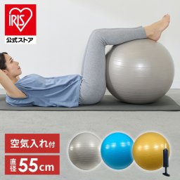 バランスボール55cm 23-187バランスボール フィットネス ダイエット 健康器具 体幹トレーニング エクササイズ ストレッチ トレーニング 宅トレ 骨盤 ゴールド シルバー アクア【D】 