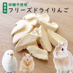 【砂糖不使用】小動物用フリーズドライりんご 20g 40g 60g 1袋約16枚入り スライス リンゴ 林檎 ウサギ ハムスター モルモット インコ リス チンチラ ハリネズミ モモンガ おやつ 人も食べれる 完全無添加 砂糖ゼロ フルーツ 乾燥 果物 ペット 動物 中国産 送料無料