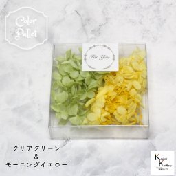 大地農園！ プリザーブドフラワー 「ピラミッドアジサイ カラーパレット  (クリアグリーン、モーニングイエロー) 3g 1個」 アジサイ プリザ ドライフラワー 花材 装飾 ハーバリウム おしゃれ かわいい プレゼント 贈り物 オオチノウエン