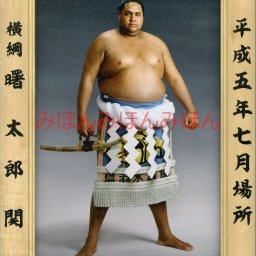 曙太郎関　優勝ミニ額 大相撲ミニ額 大相撲優勝額　平成５年７月場所 優勝 横綱 曙太郎関（４回目の優勝） ※受注生産品のため、ご注文後はいかなる理由でも返品、返金はできません