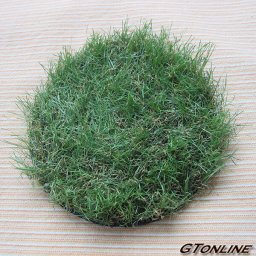 リアル人工芝（高麗芝）円形 丸形 雨水枡 汚水枡の蓋用 直径164mm（16.4cm）強力防水両面テープ付き 雨水枡 汚水枡の蓋を隠す芝生 日本芝