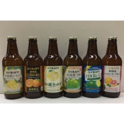 クラフトチューハイ 地域限定品 飲み比べ 6種類×2本 12本セット 小田原レモン 浜松ルビーグレープフルーツ 小笠原島レモン 埼玉産越生ゆず 静岡産三ケ日みかん 小田原うめ クラフトチューハイ 宝 タカラ 寶CRAFT お酒（その他）母の日 父の日 敬老の日 お誕生日祝い クリスマスプレゼント お祝い 内祝い 記念品 ワイン お中元 お歳暮 冬ギフト 夏ギフト