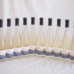 12本セット(京都青谷産の城州白梅スパークリング梅ワインやや甘口alco9度) 500ml×12本