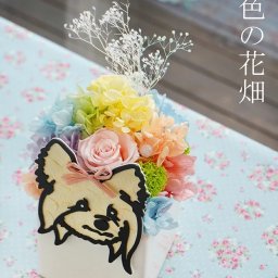 プリザーブドフラワー 「虹色の花畑」ギフト 虹の橋 犬 猫 ウサギ プレゼント お供え ペット 供養 花 メモリアルグッズ 贈り物 フラワーボックス  お悔み 虹の雲 レインボー 虹の橋