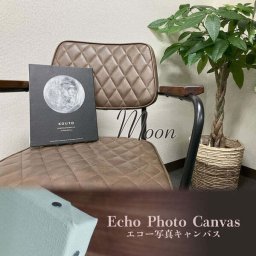 【エコーキャンバス】Moon「エコー写真1枚」送料無料　出産祝い 名入れ 命名書 赤ちゃん 子供 贈り物 誕生日 子育て応援 思い出 特別なギフト 写真記録 マタニティ プレママ その他記念品
