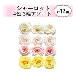 大地農園！プリザーブドフラワー「シャーロット 4色×3輪アソート 計12輪」「アンティックホワイト ホワイトシャンパン ブライダルピンク モーニングイエロー」プリザ 花材 ハーバリウム おしゃれ ピンク バラ かわいい プレゼント 贈り物 オオチノウエン