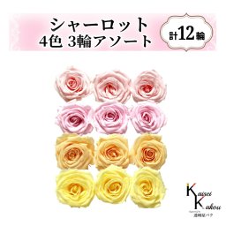 大地農園！プリザーブドフラワー「シャーロット 4色×3輪アソート 計12輪」「ブライダルピンク シャーベットピンク ジュリアオレンジ モーニングイエロー」プリザ 花材 ハーバリウム おしゃれ ピンク バラ かわいい プレゼント 贈り物 オオチノウエン
