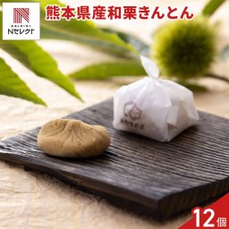 岐阜 恵那清月堂 栗きんとん ギフト 12個入 和菓子 個包装 生菓子 冷凍 スイーツ 栗