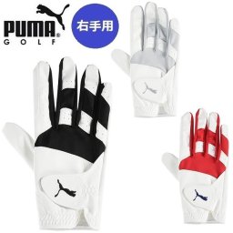 右手用 プーマ ゴルフ グローブ フュージョン グリップ グローブ 2.0 レフティメンズ PUMA Golf 041882 お誕生日祝い お祝い 記念品 お父さん 父の日 彼氏 男性 30代 40代 50代 60代 還暦祝い 敬老の日 人気プレゼント プレゼント