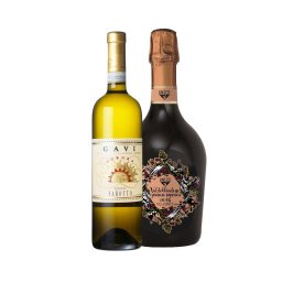 ソムリエールおすすめ イタリア白スパークリングワイン おすすめ2本セット ガヴィとプロセッコの高品質な白スパークリングワインセット 記念日のプレゼント 最強の組み合わせ リーズナブル リピーター続出 ワイン飲み比べセット