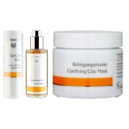 ドクター ハウシュカ リップケアスティック  とフェイシャルトナー 100ml とクラリファイング クレイマスク 90g のセット    |  Dr.Hauschka  スキンケアコフレ 美容グッズ コスメ化粧品 誕生日 クリスマス ホワイトデー 結婚記念日 ウエディングギフト 母の日 送別会 バレン