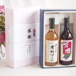 冬の贈り物お歳暮 感謝の贈り物ボックス有機栽培100%白ワインと酸化防止剤無添加 ワインセット(酸化防止剤無添加 有機あずさ赤ワイン 中口(長野県)720ml