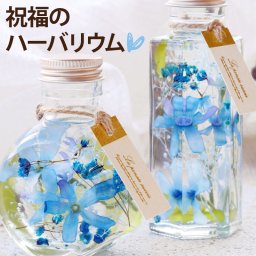 【 送料無料 】【 ブルースター ハーバリウム S 】 結婚祝い プレゼント 友達 女 おしゃれ 電報 結婚式 祝電 結婚記念日 妻 かわいい 誕生日プレゼント 女友達 女性 母親 義母 30代 50代 60代 お祝い プリザーブドフラワー 玄関 インテリア 雑貨 花 プチギフト クリスマス