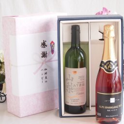実りの秋の贈り物 感謝の贈り物ボックス 国産甲州種辛口白ワインと国産ワインセット(塩尻コンコードスパークリングロゼワインやや甘口(長野県)720mlシャンモリ 山梨限定醸造白750ml(笛吹市石和町山下農園産甲州)