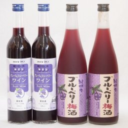 リキュール特集4本セット(グレープ&ブルーベリーワイン 紀州ブルーベリー梅酒) 500ml×2本 720ml×2本