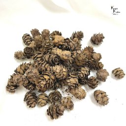 プリザーブドフラワー ミニツガ 「ナチュラル」 1pcs  花材 アレンジ ドライフラワー 木の実 大地農園 材料 装飾 飾り付け