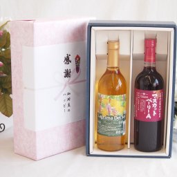 実りの秋の贈り物 感謝の贈り物ボックス 沖縄産パイナップル辛口白ワインと国産ワインセット(山梨県産葡萄100％使用 マスカットベーリーA赤ワイン ライトボディ(山梨県)720mlラグリマ・デル・ソル辛口白ワイン 720ml
