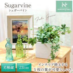 フェイクグリーン シュガーバイン 卓上サイズ 23cm [グリーン色] 光触媒加工 人工観葉植物 室内用 おしゃれ 母の日 プレゼント HANAYUKI