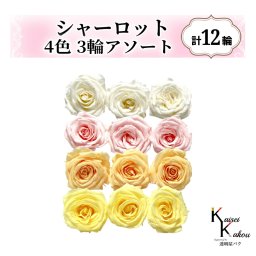 大地農園！プリザーブドフラワー「シャーロット 4色×3輪アソート 計12輪」「アンティックホワイト ブライダルピンク ジュリアオレンジ モーニングイエロー」プリザ 花材 ハーバリウム おしゃれ ピンク バラ かわいい プレゼント 贈り物 オオチノウエン